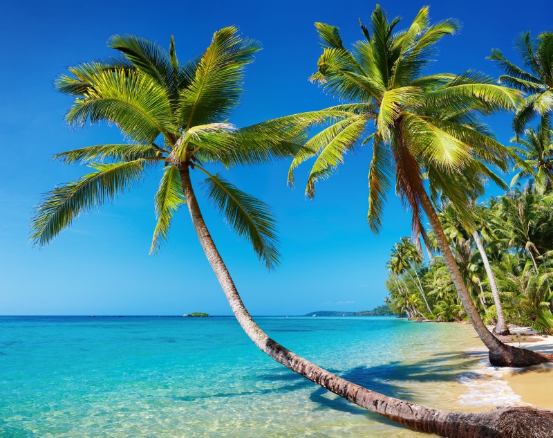 caribbean Sea, sunny, two, blue, stay, tourist Resort, water, tropics, vacations, lagoon, tropical Climate, beach, sun, idyllic, no People, travel Destinations
