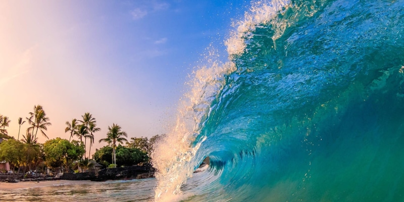 tree, morning, palm tree, plant, sky, water, coconut palm tree, sea, photography, beauty in nature, aquatic sport, nature, landscape, motion, palm trees