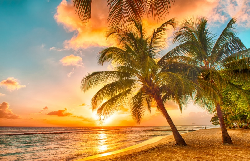 tourist Resort, no People, seascape, tranquility, coconut, vacations, island, tree, horizon, wave, sea, shore, tourism, plant, scenics, relaxation, orange color