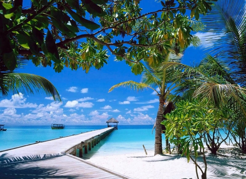beach, swimming pool, 720P, sky, tropical, day, blue, idyllic, landscape, coconut, palm tree, boat, green, tranquil scene, tree, water, tranquility, land