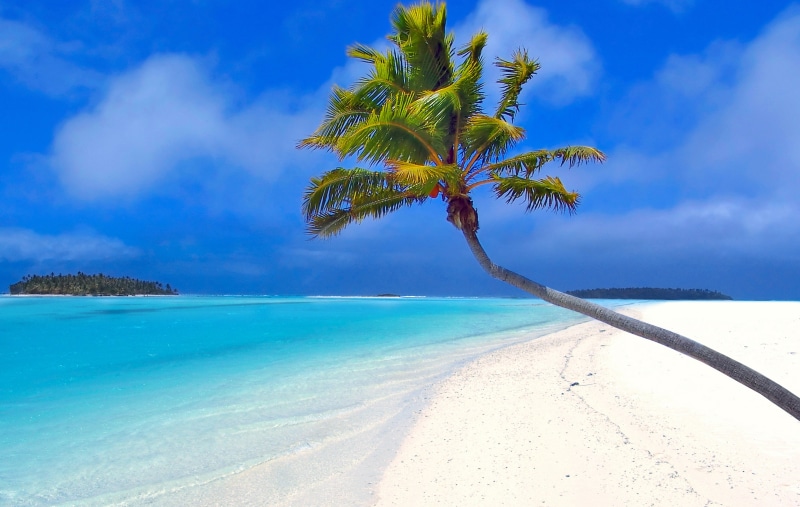 travel, tree, sand, summer, turquoise Colored, vacations, sunny, landscape, coconut, idyllic, horizon over water, land, relaxation, coconut Palm Tree, palm trees