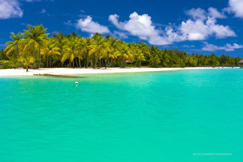 beauty In Nature, tranquility, wave, idyllic, landscape, lagoon, trees, exoticism, travel Locations, journey, water, waters Edge, green, luxury, sunny