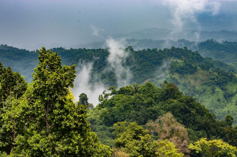 growth, non-urban scene, weather, foliage, sajek, sky, forest, blue, nature, 5K, landscape, mountain, land, cloudscape, scenics - nature, lush foliage