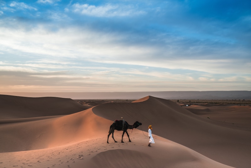 landscape, domestic animals, environment, barak, blue sky, dune, nature, beauty in nature, cloudscape, beside, arid climate, man, person, animal, two people