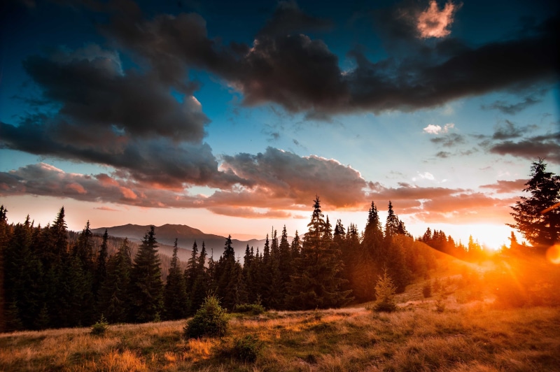 sol, nubes, 4K, bosque, naturaleza, puesta