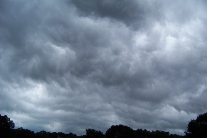 weather, cloudy, storm cloud, ominous, dramatic sky, treetop, scenics - nature, power in nature, storm, Nature, stormy sky, plant, meteorology, overcast