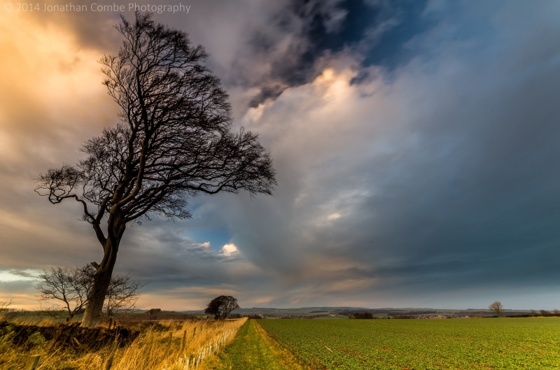 green, grass, cloudscape, cloud - Sky, black, sunset, landscape, Scotland, scenics, beside, sky, green field, field, tree, meadow, summer, nature, rural Scene
