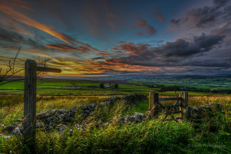 gate, Sunset, Skipton, green grass, cloud - Sky, nature, orange, grass, green, fence, scenics, rural Scene, Clouds, photography, gray, outdoors, 720P