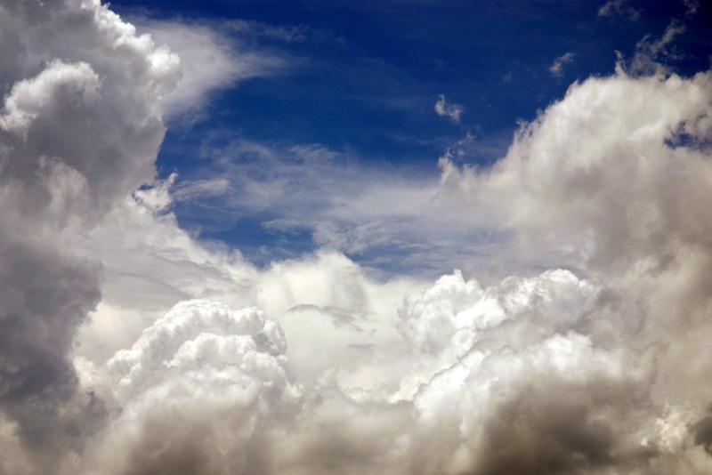 cloud - Sky, weather, flowers, beautiful, summer, cloudscape, backgrounds, air, blue, sky, daisy, aerial, 2K, day, outdoors, aerial photography, clouds