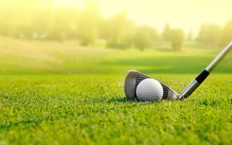 golf club, no people, cue, plant, green, sport, green - golf course, close-up, morning, golf ball, copy space, competition, golf course, golf, green color