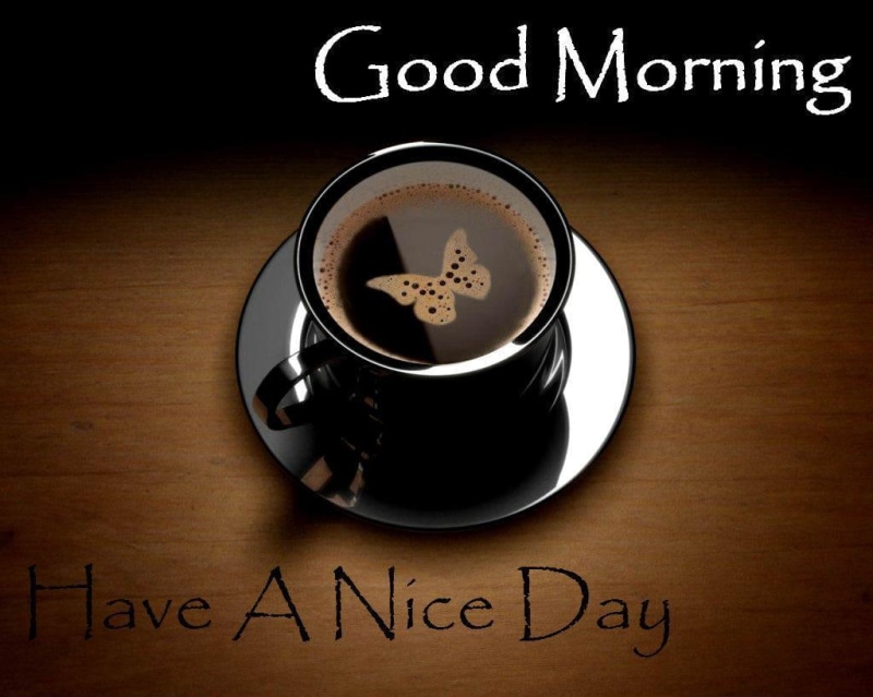 day, morning, nice, good, wishes quotes, 480P, good morning, wishes, have a nice day, quotes