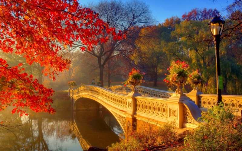 Morning, white, Trees, concrete, Autumn, Park, Bridge, 2K, River, Flowers