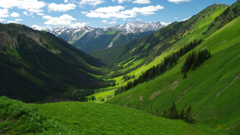grassland, british columbia, vegetation, nature, canada, mount scenery, 4K, grass, field, mountain, mountain range, mountainous landforms, wilderness