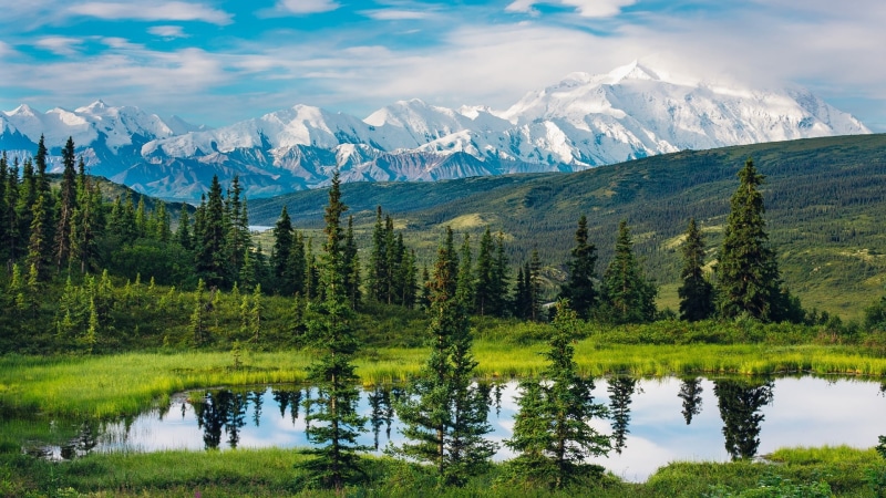 environment, alaska, water, north america, non-urban scene, highland, beauty in nature, pine, tundra, tranquility, outdoors, cloud - sky, sky, alaska range