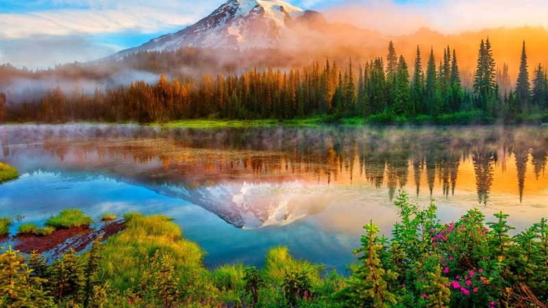 reflection, non-urban scene, bank, pine woodland, sky, outdoors, united states, tranquility, nature, cloud - sky, tranquil scene, dawn, no people, wilderness