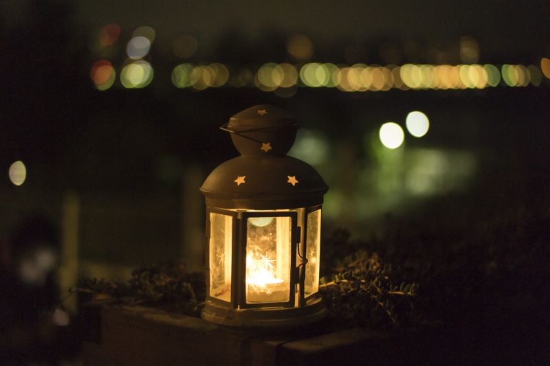 indoors, electric light, focus on foreground, light - Natural Phenomenon, light, night, Light Night, electricity, dark, electric Lamp, street light, tree
