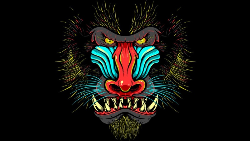 black background, cyan, creativity, Mandrill, close-up, multi colored, fangs, illuminated, 1080P, representation, colorful, yellow eyes, animal themes