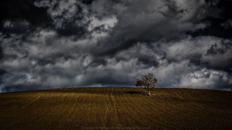 Autumn, outdoors, lonely, bad weather, sunlight, scenics, weather, rural Scene, clouds, Tree, sky, 4K, bad, cloud - Sky, landscape, land, nature, farm