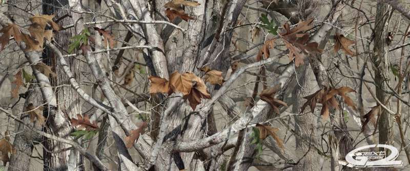 camouflage, Woodland Camouflage, 720P