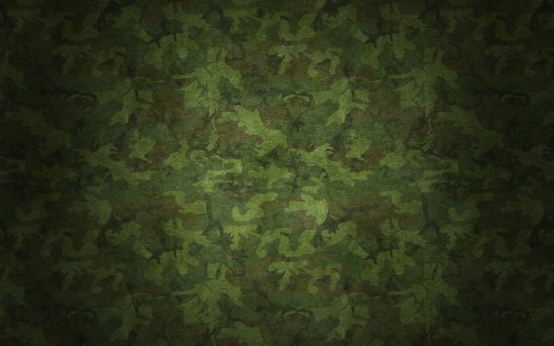 2K, texture, pattern, Chamomile, camouflage
