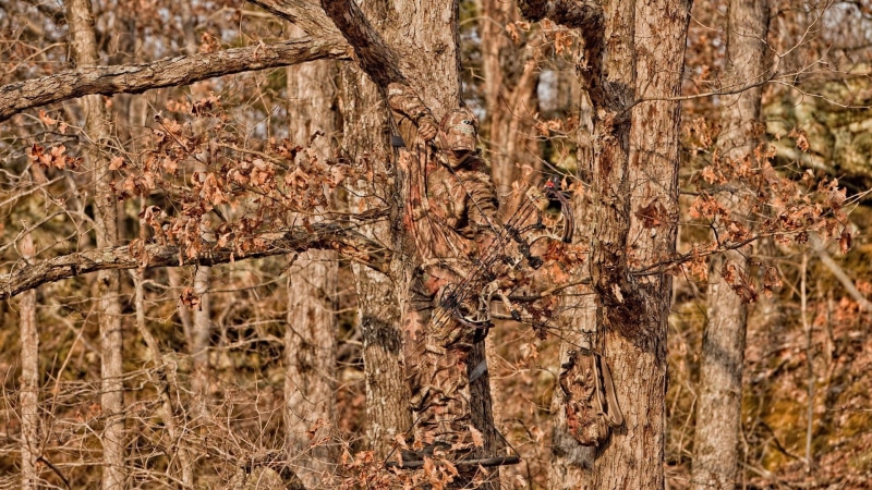 Woodland Camouflage, archery, camouflage, 1080P