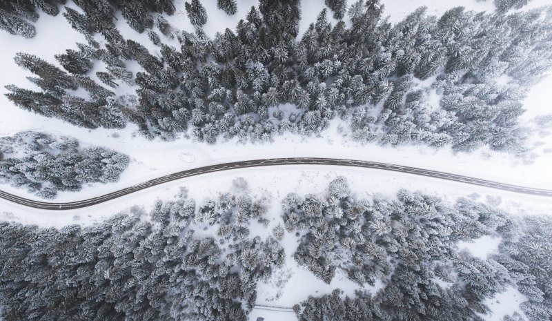forest, winter, covered, eye’s, land, day, eye, covering, extreme weather, photography, snowcapped mountain, scenics - nature, mountain, drone view, environment