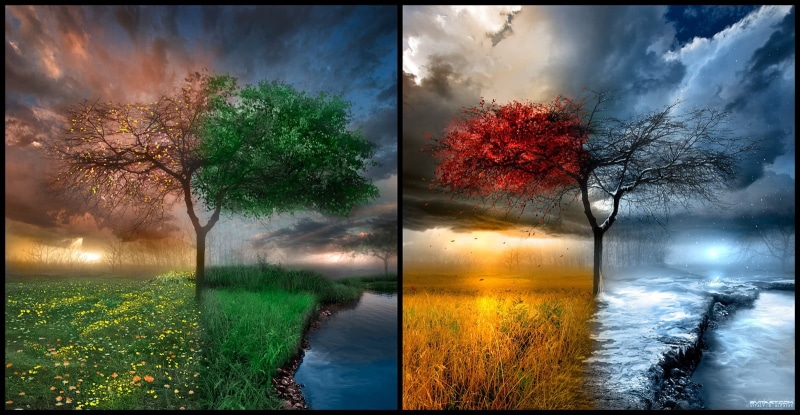 auto post production filter, collage, painting, trees, sky, growth, outdoors, tree, landscape, fall, plant, power in nature, scenics - nature, tranquil scene