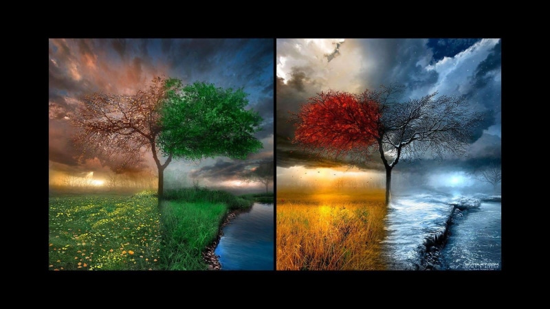 spring, seasons, autumn, winter, hd, four, summer, 1080P, four seasons