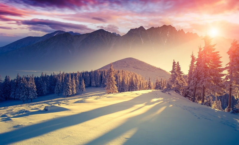 mountain peak, snowcapped mountain, tranquil scene, plant, coniferous tree, scenics - nature, cloud - sky, beauty in nature, shadows, 1080P, no people