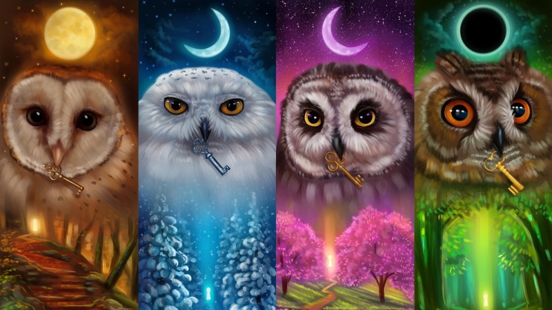 autumn, illustration, 1080P, owl, summer, bird, seasons, art, moon, moon phases, key, winter, spring