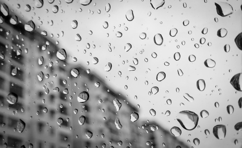 condensation, 北海, nature, 雨天, abstract, blackandwhite, water, raindrop, wet, drop, monochrome, drops, backgrounds, rain, BandW, liquid, 4K, Butterworth