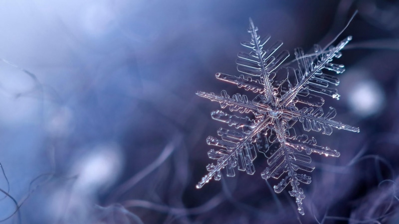 vulnerability, frozen, outdoors, snowflake, snow, frost, winter, freezing, cold, blue, 1080P, ice crystal, cold temperature, close-up, blizzard, focus on foreground