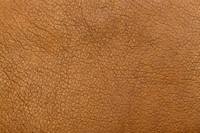 2K, animal body part, backgrounds, african elephant, textured effect, textured, structure, material, fashion, one animal, no people, rough, macro, closeup