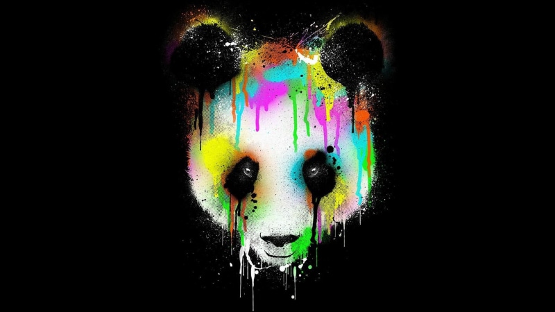 panda, paint, colorful, 1920x1080, digital art, color, face, head, 1080P, multi, edited, photo