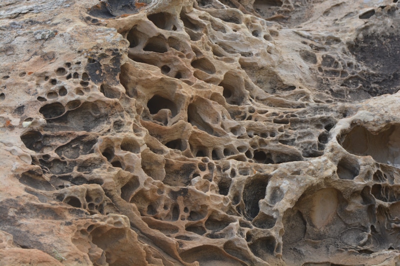 bone, volcanic rock, geology, brown, rock, gray, backgrounds, history, 5K, solid, close-up, abstract, day, igneous rock, stones, textured, sand, outdoors