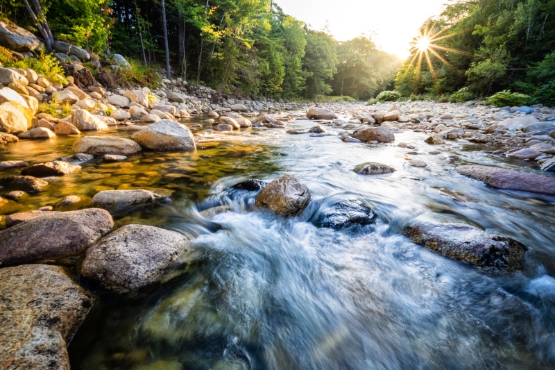 flowing Water, water, white mountains, 4K, rocks, nature, scenics, waterfall, landscape, tree, river, outdoors, mountain, rock - Object, Mad River, forest
