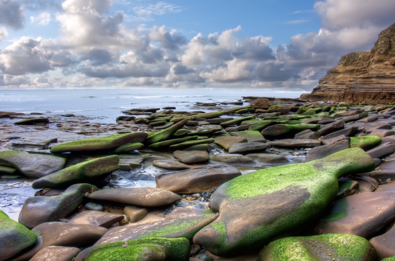 rocks, sea, morning, coastline, landscape, shore, outdoors, brown, beach, sky, nature, green, water, rock - Object, wave, scenics, 4K