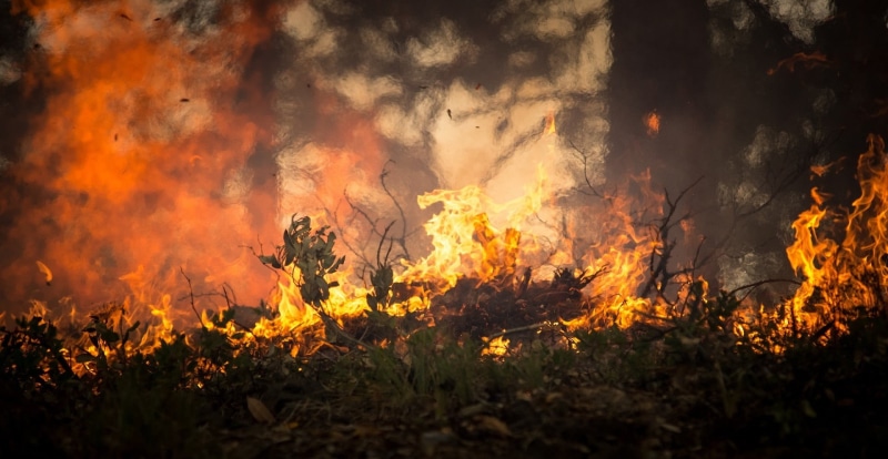 fire - natural phenomenon, hot, danger, usa, orange, plant, destruction, oregon, woodland, no people, nature, burned, environment, flames, usda, lightning