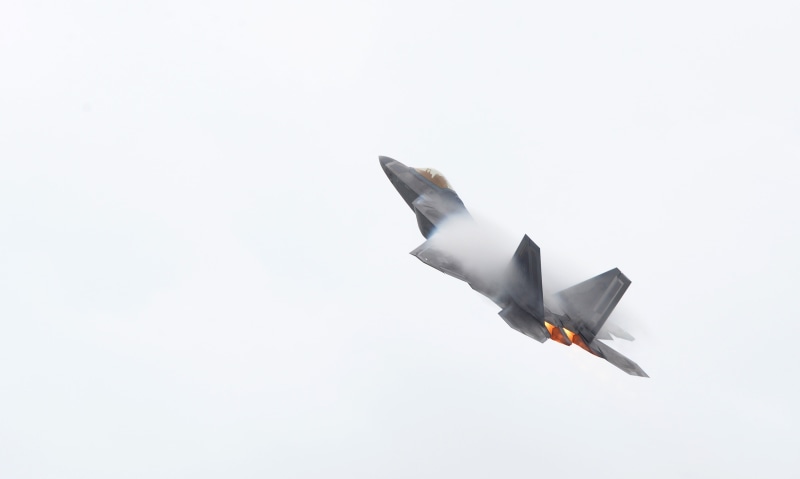 flying, mid-air, airplane, bird, animal themes, low angle view, outdoors, no people, copy space, military, day, animal, vertebrate, aircraft, one animal