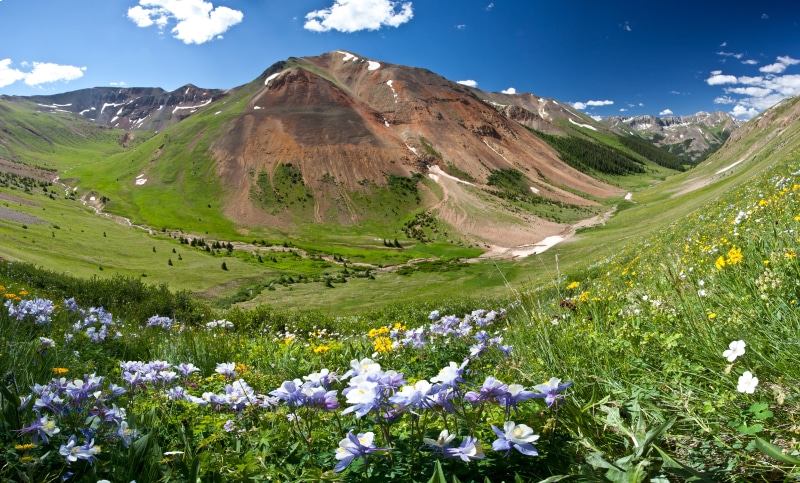 cloud, grass, colorado, national, flower, lands, wilderness study area, photography, WSA, green Color, nature, 5K, conservation, Red Cloud, scenics, peak