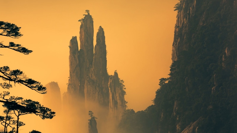 growth, beauty in nature, orange sky, majestic, mt huangshan, non-urban scene, plant, huangshan, huangshan mountain range, tree trunk, no people, tranquil scene