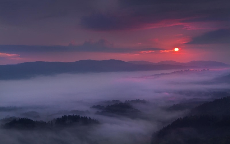 mist, mountain, fog, tranquility, cloud - sky, forest, dramatic sky, nature, sun, clouds, no people, environment, mountains, idyllic, scenics - nature