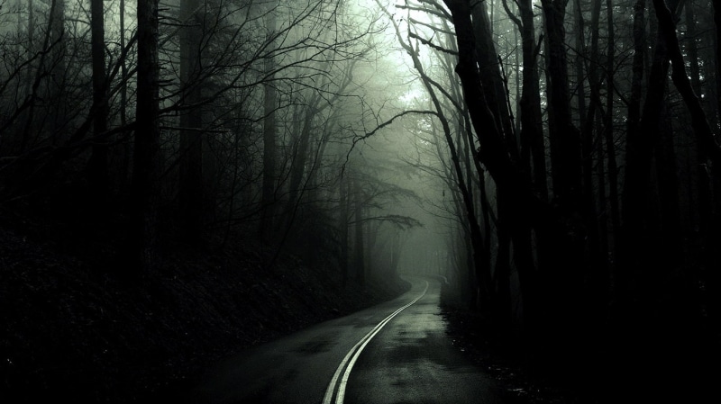 fog, art, roads, hd, nature, forest, x, forests, 720P