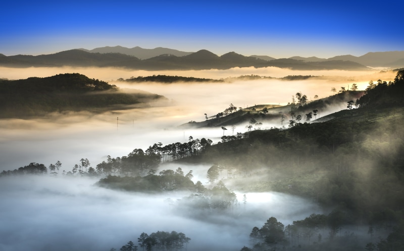 dense, Wild, environment, sky, Foggy, tranquility, mountain range, Travel, plant, Hill, outdoors, Scenery, fog, mountain, Forest, Wonderful, beauty in nature