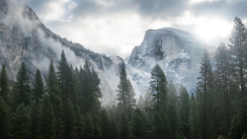 5K, fog, mountain, forest, 5k