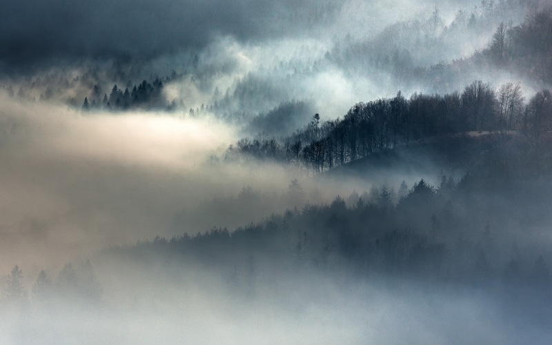 fog, no People, plant, woodland, mist, environment, snow, fall, blue, mountain, overcast, backgrounds, sunset, mystery, cloud - Sky, fogs, scenics, nature