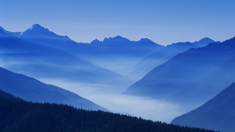 desktop, 1080P, mountain, mountains, ultrahd, k, fog, forest, landscape, nature