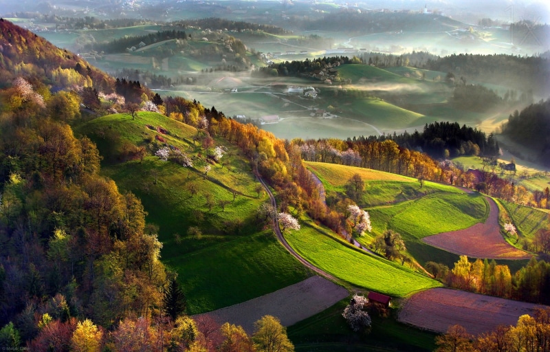 1080P, fog, hills, forest, autumn, mountains, houses, road, hd, landscape