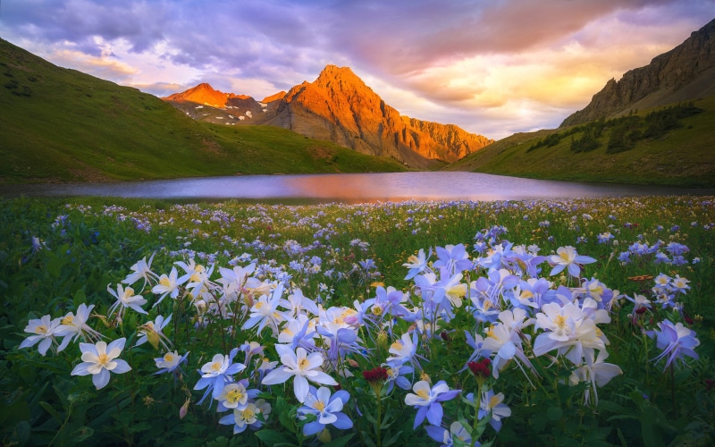 mountains, meadow, flowers, san, landscape, lake, 2K, colorado, hd, juan, island, sunset