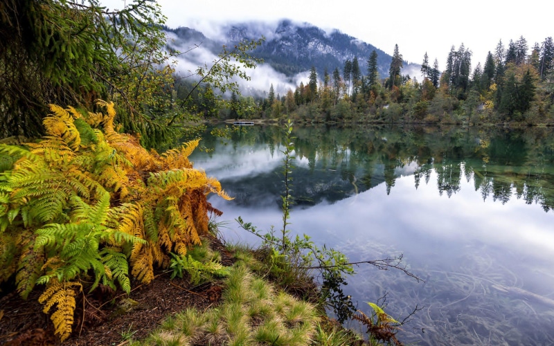 mountain, forest, landscape, 2K, lakes, ultrahd, hd, widescreen, lake, nature, k, fog